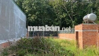 (HCM mới) Đất CLN+ ODT 540M2 Có sẵn căn nhà c4 cũ-p. Tân Khánh- HCM
