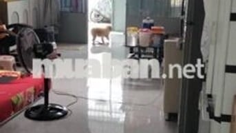 Cần bán nhà 1 trệt 1 lầu 80m2/1ty260 2PN, 2WC, Đ. Tân Phước, Tân Kim.