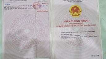ĐẤT LÚA CHÍNH CHỦ - SỔ HỒNG RIÊNG - Xã Tân Trạch, Cần Đước, Long An