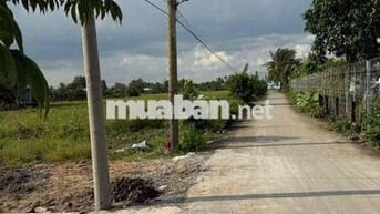 ĐẤT TẠI CẦN GIUỘC | CÁCH TPHCM CHỈ 10KM | GIỎ HÀNG HƠN 100 NỀN