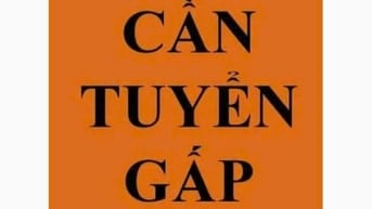 🍓SIÊU THỊ MI NI CẦN TUYỂN NHÂN VIÊN THU NGÂN 