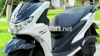 Freego 2019 đèn led. abs biển 43