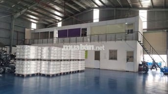 Cho thuê kho xưởng mới đẹp Tỉnh Lộ 10, Tân Tạo, Bình Tân, PCCC tự động