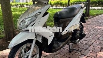 luvias biển tỉnh