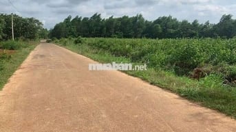 Vị trí đắc địa:
Cách Sân bay Quốc tế Long Thành