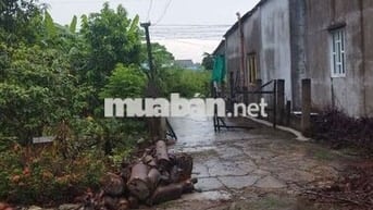 Chính chủ cần bán đất thổ cư có nhà cấp bốn