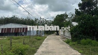 Đất TP HCM ( Bình Dương cũ ) nằm trong khu dân cư,
