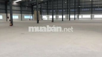 Cho thuê kho xưởng 8.500m2, KCN Tân Đô,Tân Đức,Hải Sơn,Đức Hòa,Long An