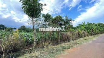 🏡 ĐẤT 5.523 m² – ĐẤT CẨM ĐƯỜNG