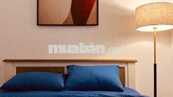 cho thuê nhà full nội thất phạm văn chiêu p13