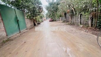 BÁN ĐẤT VÕNG LA ĐÔNG ANH HN 66M2 ( Đường đã làm xong )