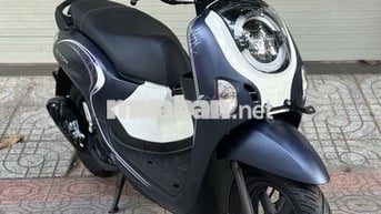 Scoopy 2025 - New 100%