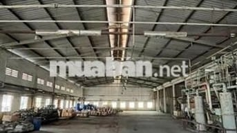 cho thuê kho xưởng 1300m2 đường dương thị giang, q12, pccc, đường cont