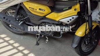 PG-1 bán hoặc đổi bản abs camo