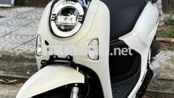 Scoopy T9/2025 mới 100% bao ra tên bấm số mới ❤️