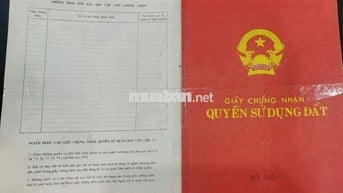 Bán đất chính chủ, sổ đỏ, vị trí đẹp, không bao giờ ngập lụt, 2010m2