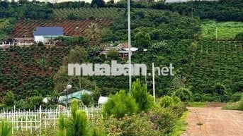 Đất nghỉ dưỡng ven Đà Lạt cách sân bay Liên Khương 20km