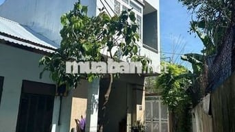 🔥 BÁN ĐẤT KIỆT NGUYỄN NHƯ HẠNH – GIÁ MỀM NHẤT KHU VỰC 🔥