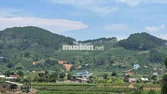 Ngộp bank chủ cần bán đất đẹp tại Trạm Hành view thung lũng Đơn Dương