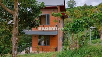Thổn thức với chiếc view này quá đi ạ Nhà vườn Trị An chỉ 850tr/1000m2