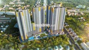 BCONS SOLARY - 20CĂN GIỎ HÀNG NỘI BỘ GIÁ ƯU ĐÃI TỪ CHỦ ĐẦU TƯ BCONS
