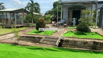 2135M² ĐẤT CÓ NHÀ SẴN - CÂY TRƯỜNG II, BÀU BÀNG CHỈ 900TR