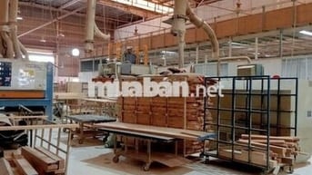Cho thuê kho xưởng 4.200m² tại KCN Phú An Thạnh, Long An, PCCC tự động