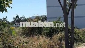 CẦN TÌM VÀI NỀN ĐẤT DỰ ÁN CHÍNH CHỦ KDCHH LĐỂ MUA ĐẦU TƯ Ở BÌNH DƯƠNG