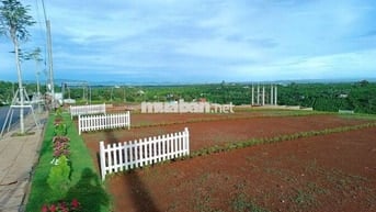 ĐẤT NỀN THỔ CƯ SỔ SẴN CÁCH NÚT GIAO CAO TỐC DẦU GIÂY-LIÊN KHƯƠNG 2KM