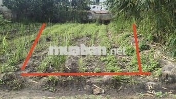 Bán đất bàu bàng bình dương  . tổng diện tích 130m2.  Giá 550 triệu
