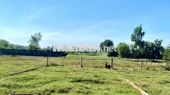 140m2 mặt tiền Lê Thị Vui 360Tr cách trường học + UBND Phước Hiệp 500m