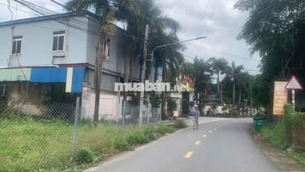 Thanh Lí 02 Nền Đất Chính Chủ Cách Ngã 4 Miếu Ông Cù 200m