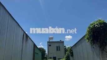 125m đất thổ cư đường 5m5, lối thoát hiểm rộng rãi, chưa qua đầu tư