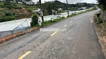 ĐẤT ĐẸP GIÁ NGỘP TẠI ĐÀ LẠT, PHÁP LÝ SẠCH, CÓ SỔ, CHỈ 1.2 TỶ!