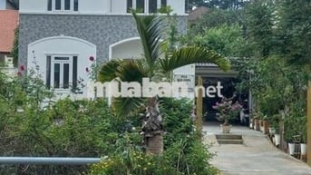 Bán Villa sân vườn tại Đà Lạt - Chính chủ (có thương lượng).