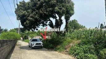 Chính chủ gửi bán mảnh đất 125,5m full thổ 🎉🎉 🚘 Đường mặt tiền 2 ô tô