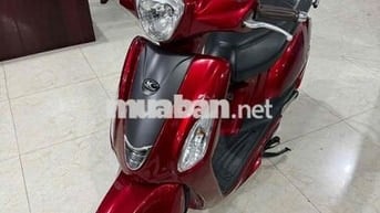 like 50cc