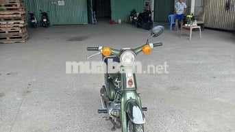 Cúp Cánh Én Zin Siêu Sịn