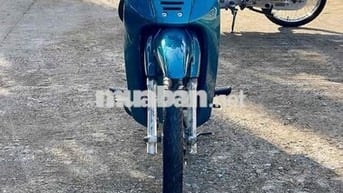 Anpha biển 65