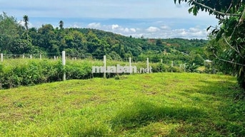 CHỦ NGỘP CẦN BÁN GẤP LÔ ĐẤT NGHỈ DƯỠNG ĐỂ CHO CON ĐI NƯỚC NGOÀI