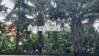 Cho thuê lại 1 phòng trống căn Shophouse