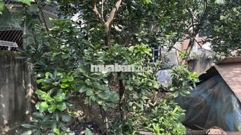 Bán nhanh 48m2 đất thượng cát, đường trước nhà xe tăng chạy
