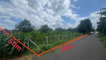 Công ty Đấu giá hợp danh Lam Sơn Sài Gòn THÔNG BÁO ĐẤU GIÁ TÀI SẢN