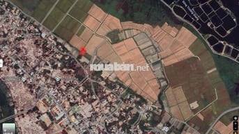 Đất nông nghiệp rẻ Thăng Bình view lúa gần sông