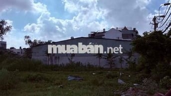 Cho thuê nhà xưởng lớn khu vực Hóc Môn
