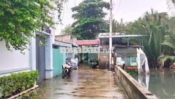 Nhà vườn: 701 m2, khu dân cư Hiệp Bình Chánh, Thủ Đức, TP.HCM.
