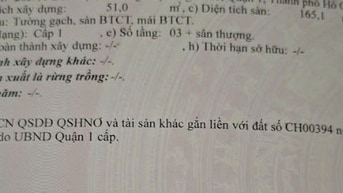 Nhà HXH Bùi Viện - DT : 51m ( 3,8* 14 ), DT sàn : 165m. Giá 16.8 TL 