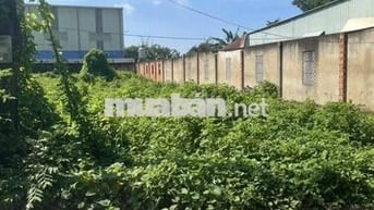 BÁN ĐẤT MẶT TIỀN NHỰA 200M2, 630TR, NGUYỄN THỊ SE, TÂN THÔNG HỘI