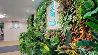 Căn hộ Cielo 1PN - 2PN - 1WC Mặt tiền QL1A Góp 6 TriệuTháng Giá Nội Bộ