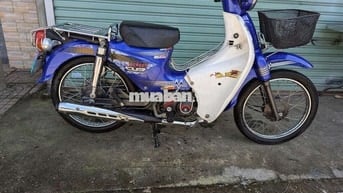 cup 50cc máy zin